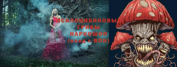 меф Медвежьегорск