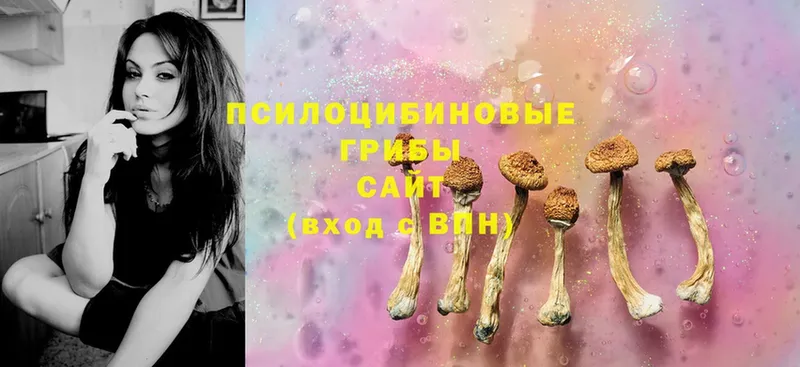 Псилоцибиновые грибы Magic Shrooms Белоусово